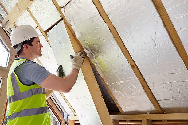 Best Insulation Replacement Services  in Peachtree Corners, GA